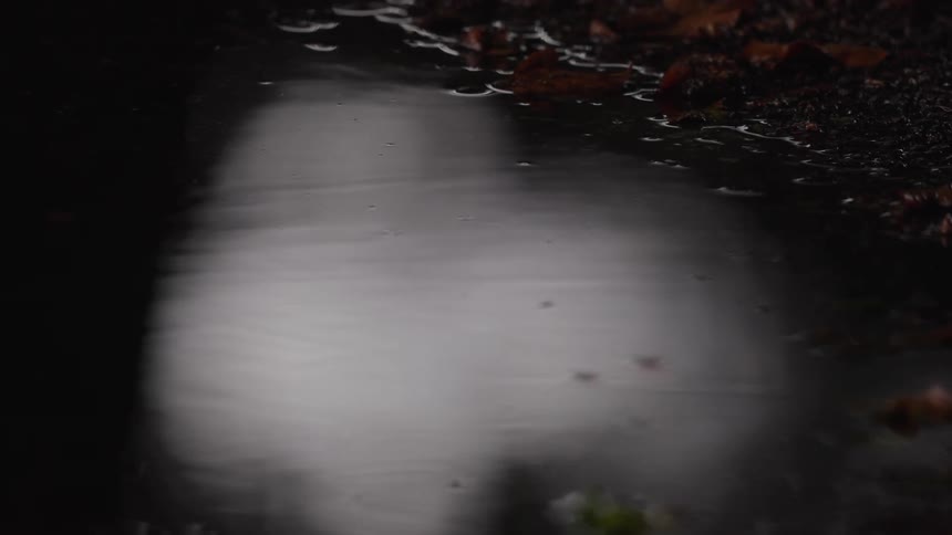 A dark low angle view of a narrow channel of rain water flowing rapidly over an asphalt path creates dramatic reflections and ripples before being disturbed by a large drop