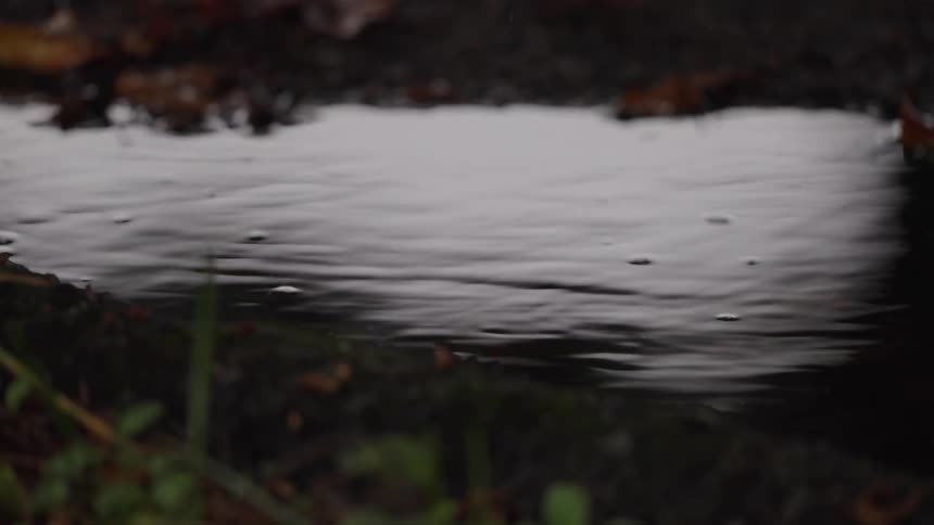 Closeup of a puddle reflecting the sky with blurred foreground elements
