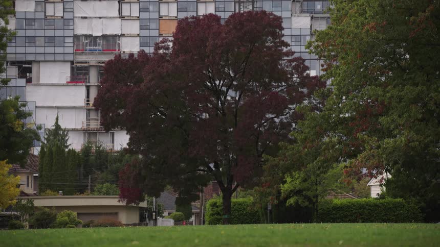 Beautiful autumn trees stand in front of a modern building under renovation