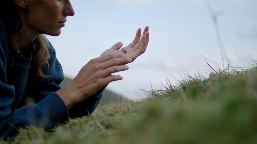 A woman wearing a blue sweatshirt lying in the grass with her hands cupped together and extended observing a cricket that briefly lands on her palm before she brings her hands closer together