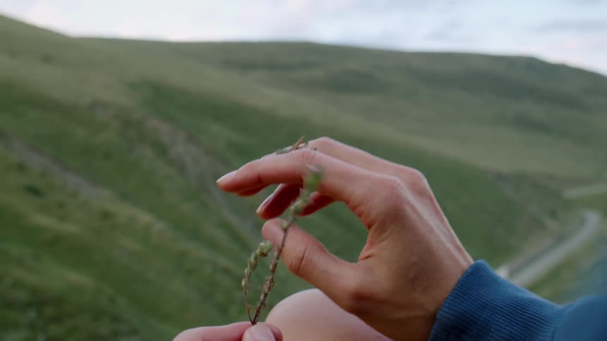Person observing a grasshopper perched on their finger