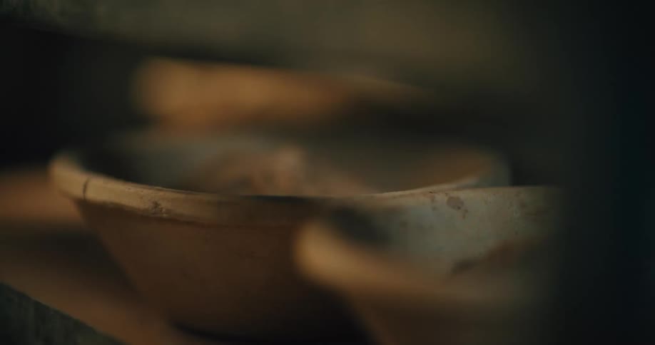 Bowls of food are on the counter
