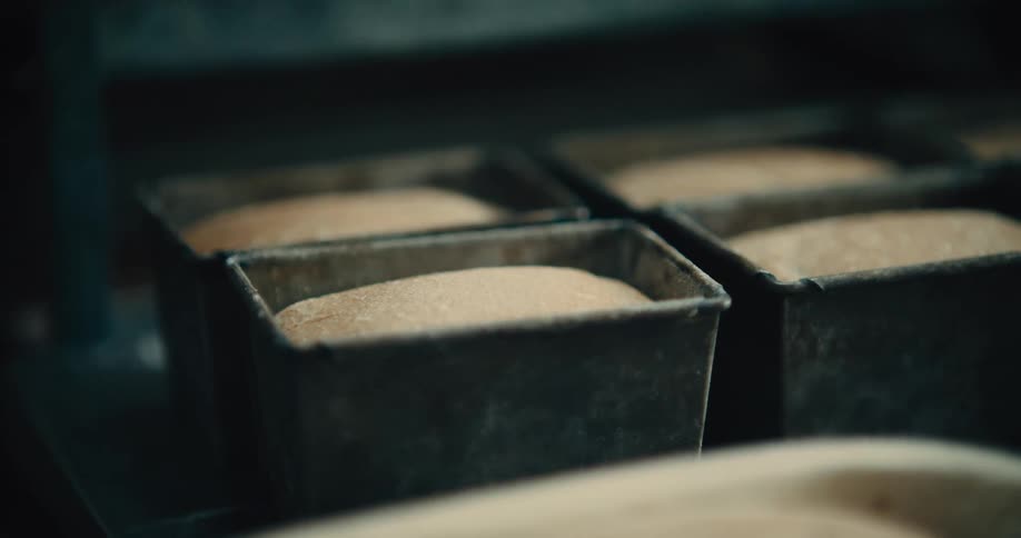 A close view of a bakers hands gently placing a dark metal loaf pan filled with risen dough onto a surface next to other filled pans in a dimly lit industrial bakery