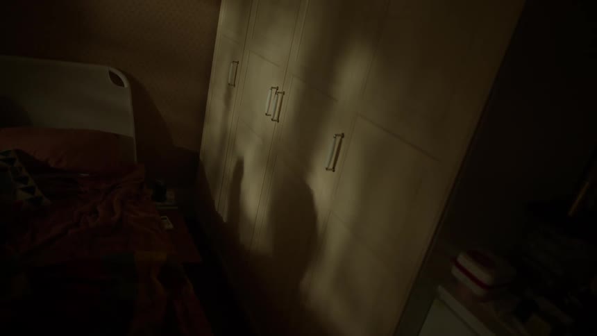 Shadow of a person dancing cast on a lit wardrobe door