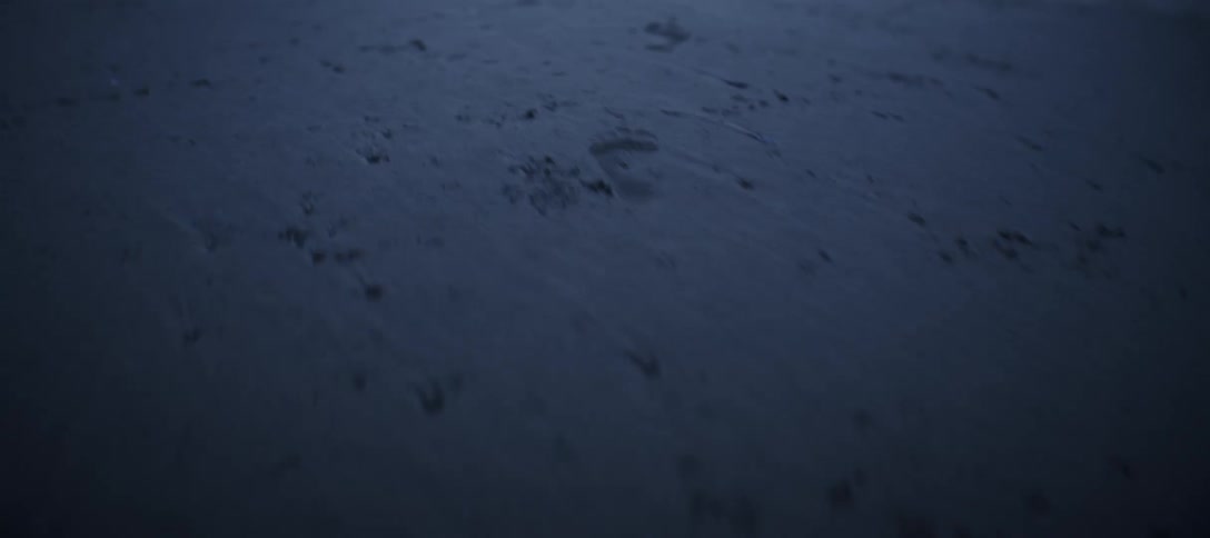 Footprints are in the sand
