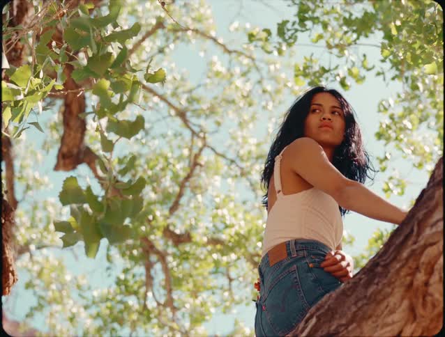 The woman is sitting high up on the branch