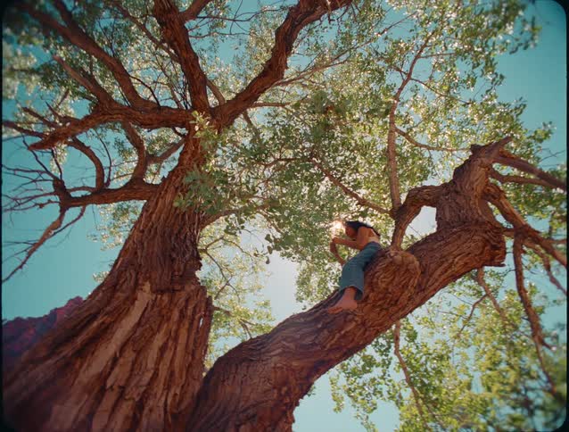 A young woman barefoot and dressed in jeans sits quietly on a tall tree branch at midday shaded from the sun by a canopy of leaves filtering the light above