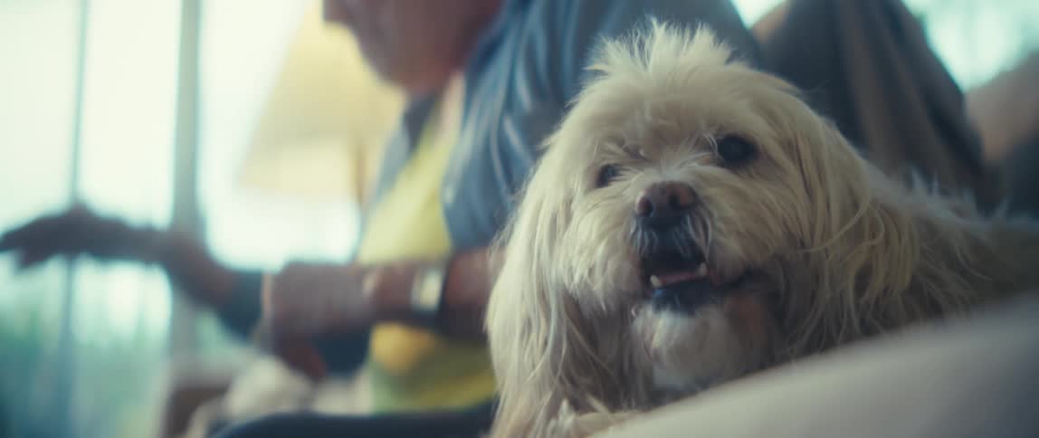 Dog yawns while sitting on the couch next to an elderly woman enjoying sports media