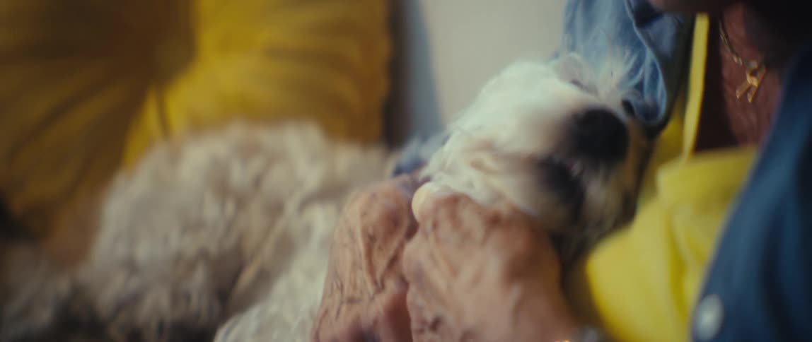An elderly woman lovingly pets and talks to her small white dog