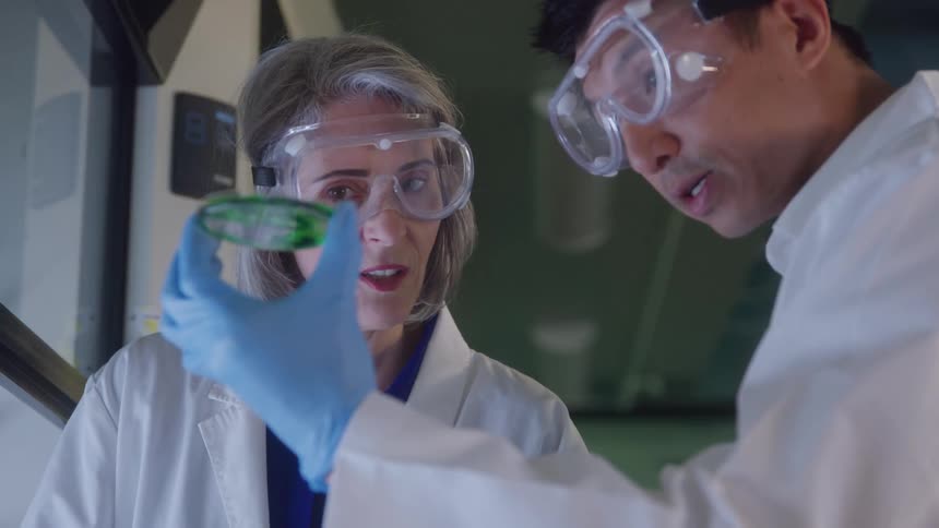 Two scientists analyzing a sample in a petri dish inside a laboratory