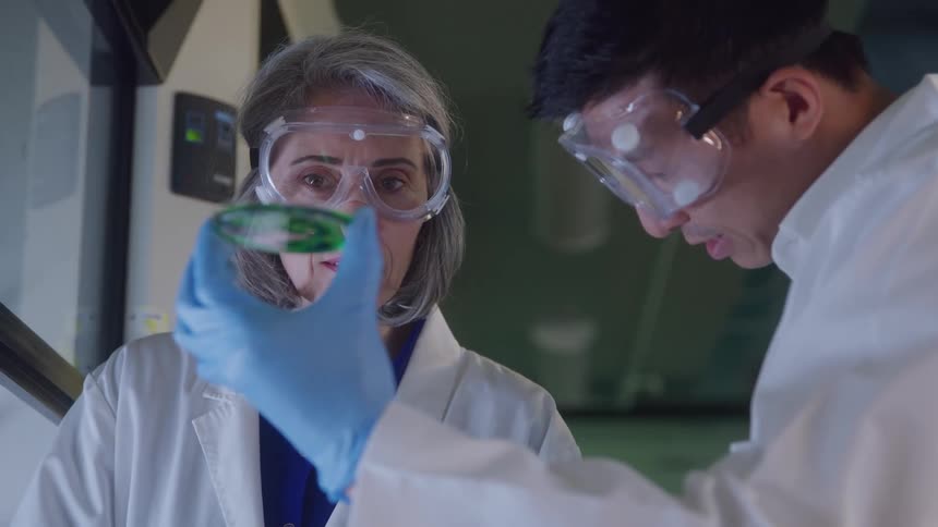Two scientists exam a petri dish