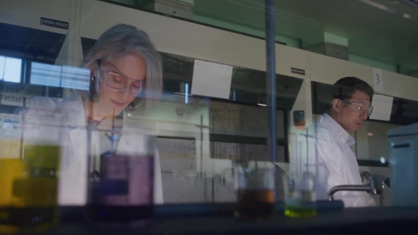 A male and female scientist working together in a laboratory