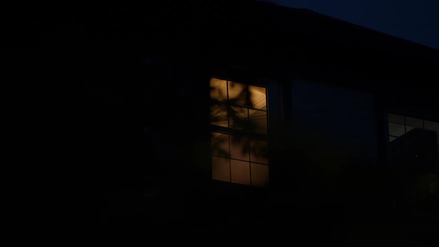 Yellow light passes through grid window at night with branch shadows cast on illuminated surface