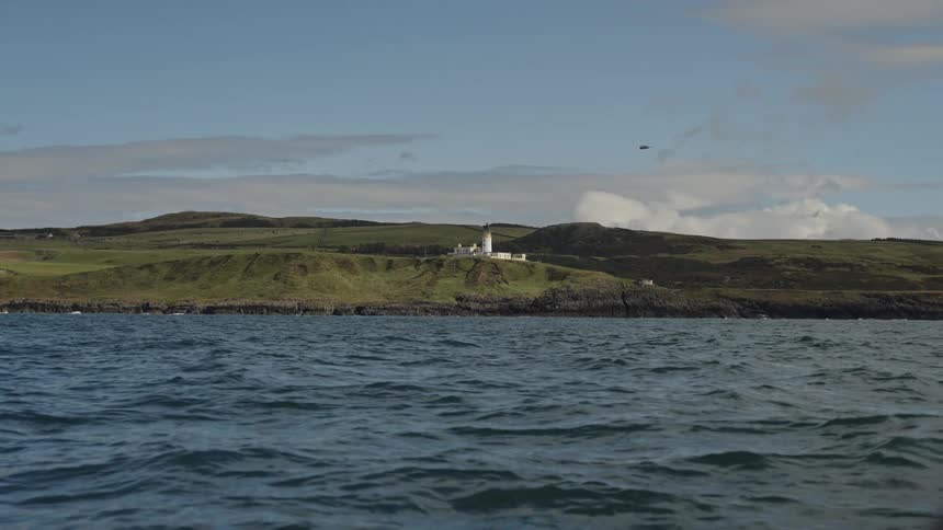 The bird flies over the coast