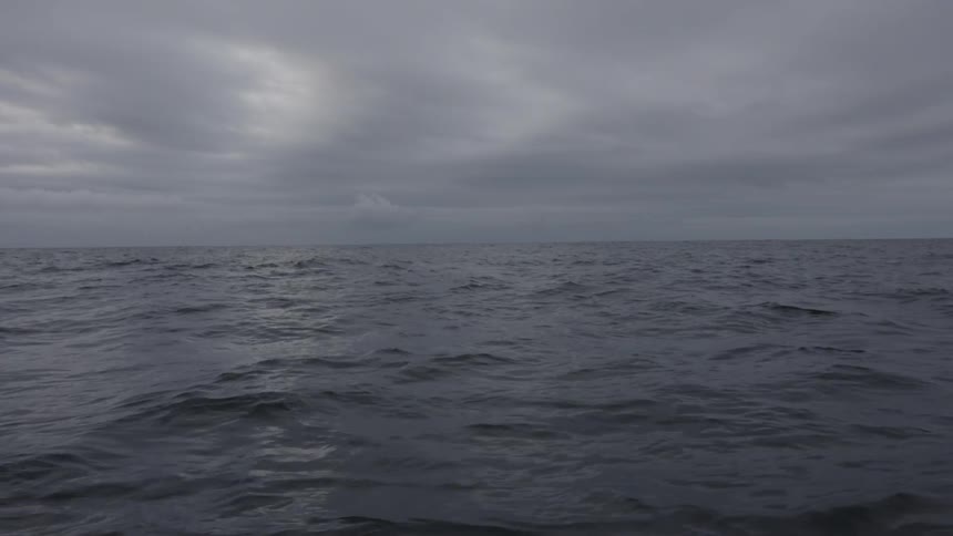 Rough sea under a cloudy gray sky