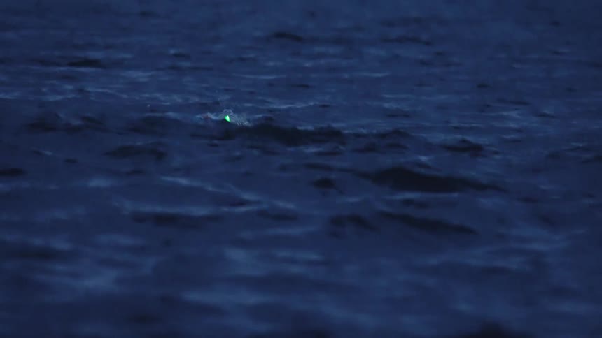 Swimmer with glowing cap and goggles glides through dark waters in striking nighttime scene