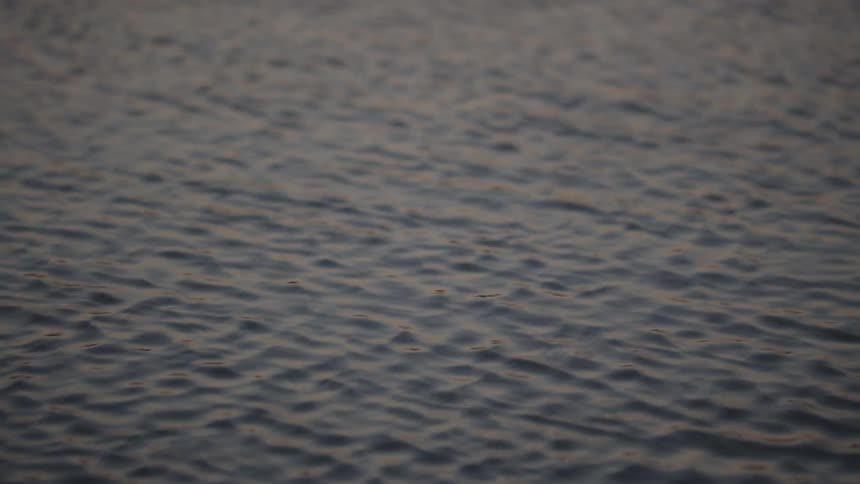 Gentle waves ripple across the calm water surface at dusk