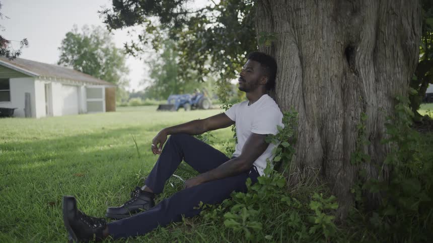 A man sits under a large tree in a rural field