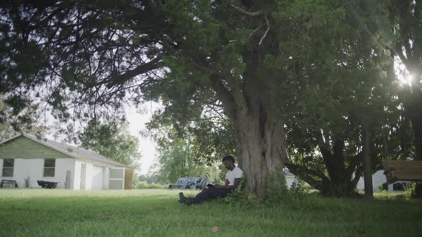 A man sits under a tree reading a book in a sunny field