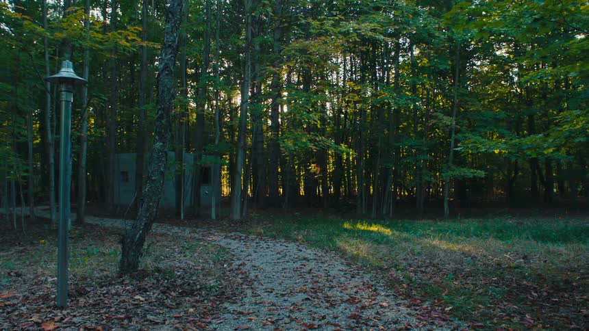 A path and a lamppost in a dense forest with an abandoned concrete structure visible as sunlight streams through the trees