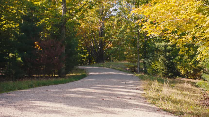A path through the autumn woods