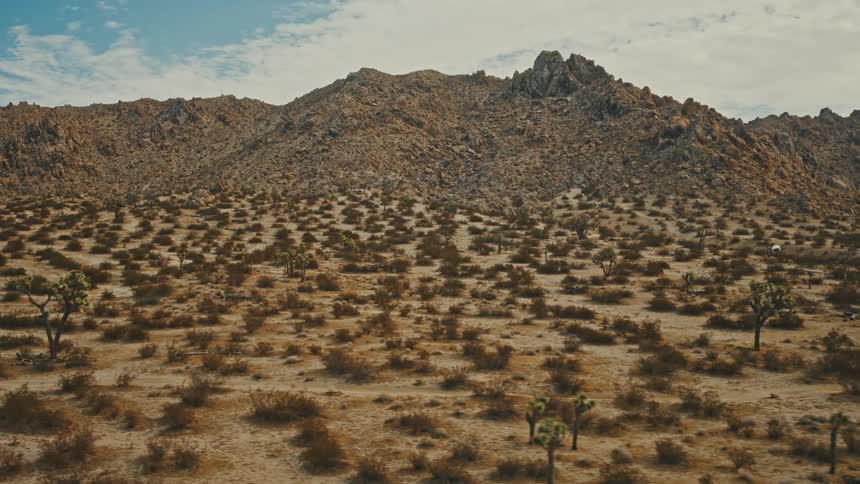 A wide view of a vast flat desert foreground covered in low scrub and joshua trees stretching up to meet a large rugged mountain under a partly cloudy sky