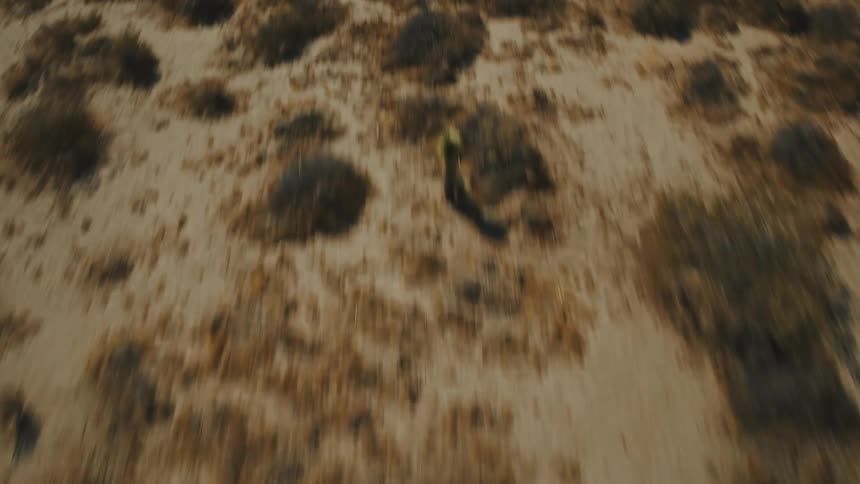 Flying over a desert