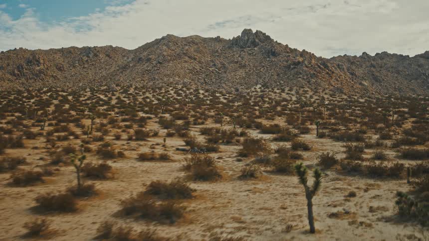 A large desert landscape with dry brush