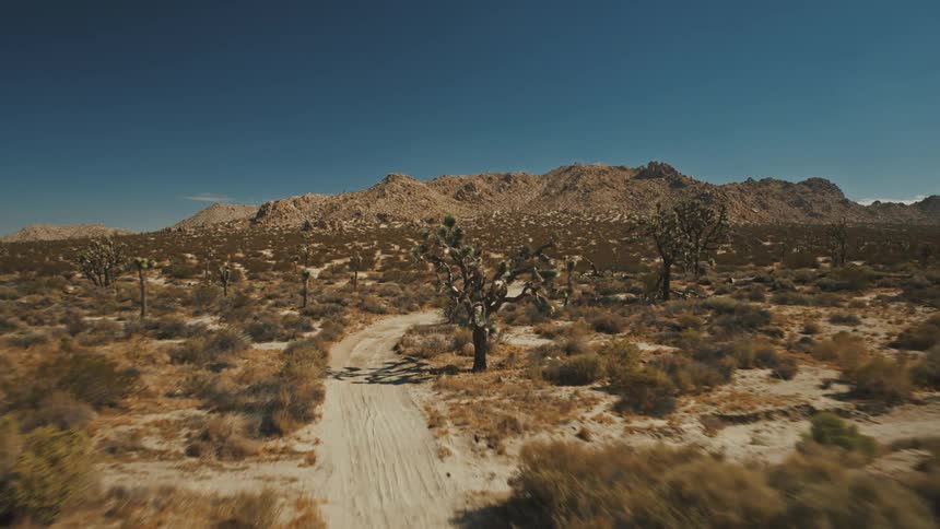 A road winds through shrubland