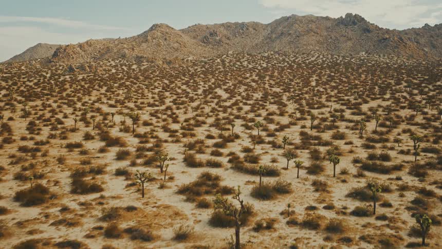 Desert landscape stretches with scattered bushes and joshua trees surrounded by rocky hills under a partly cloudy sky