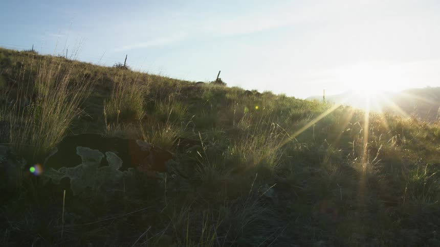 Sun sets over a hill