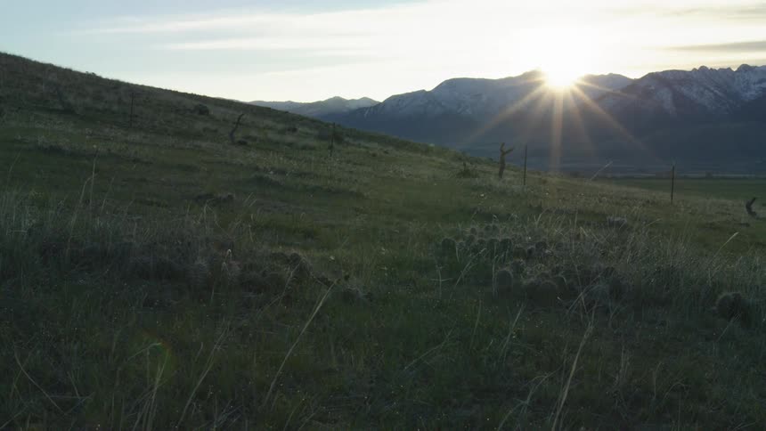 Sun sets behind the mountains lighting up a grassy field