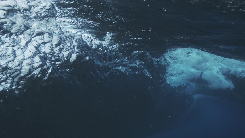 A wave seen from underwater