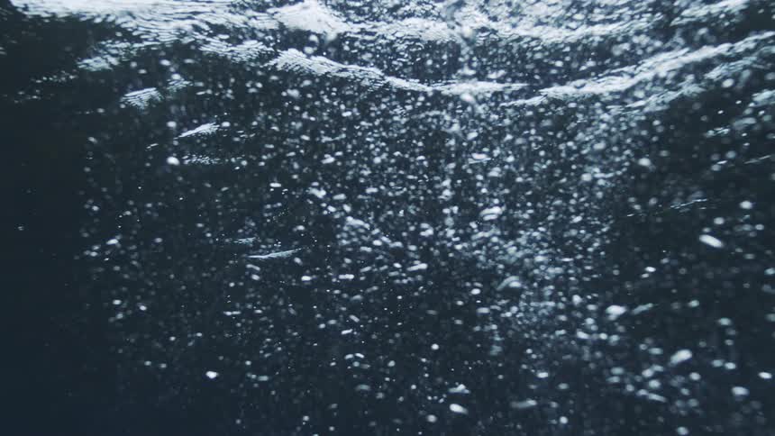 Water bubbles float to the surface