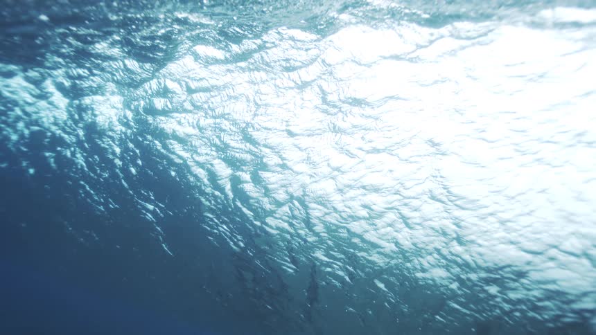 A wave seen from underwater