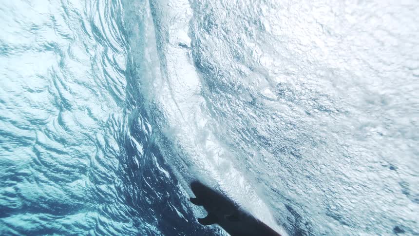 A wave seen from underwater