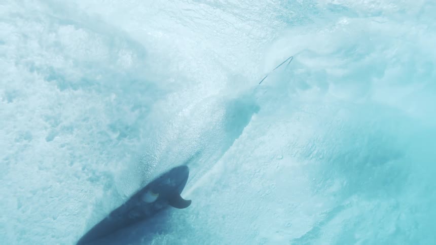 A wave seen from underwater