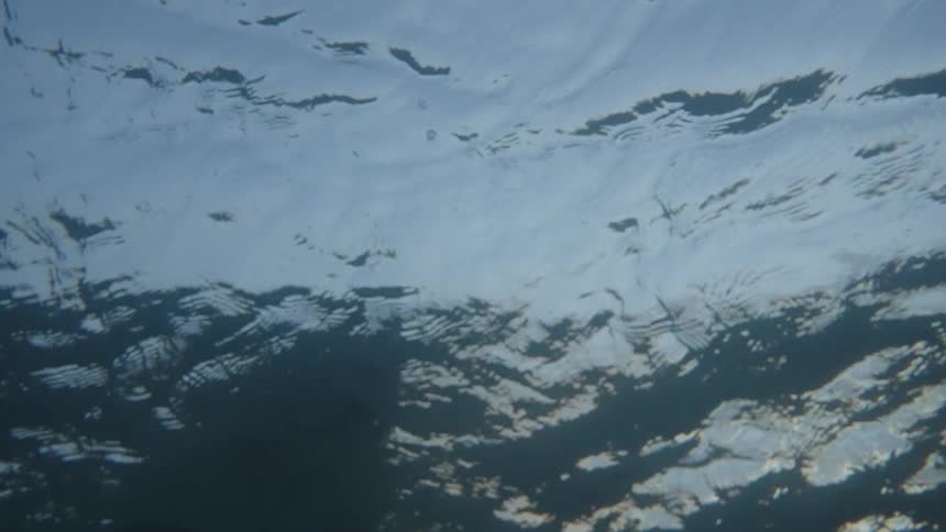Water surface reflects soft light in shades of blue and gray