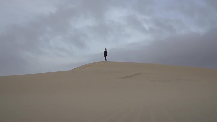Lone person standing on a dune under a cloudy sky