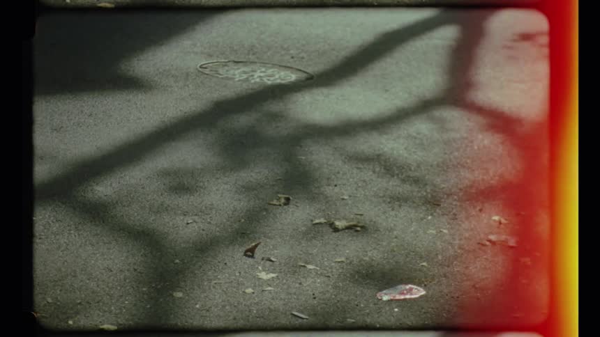 Closeup of a pavement with scattered leaves and tree shadows