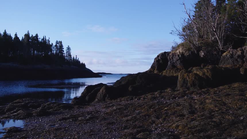 Rocks lay by the river