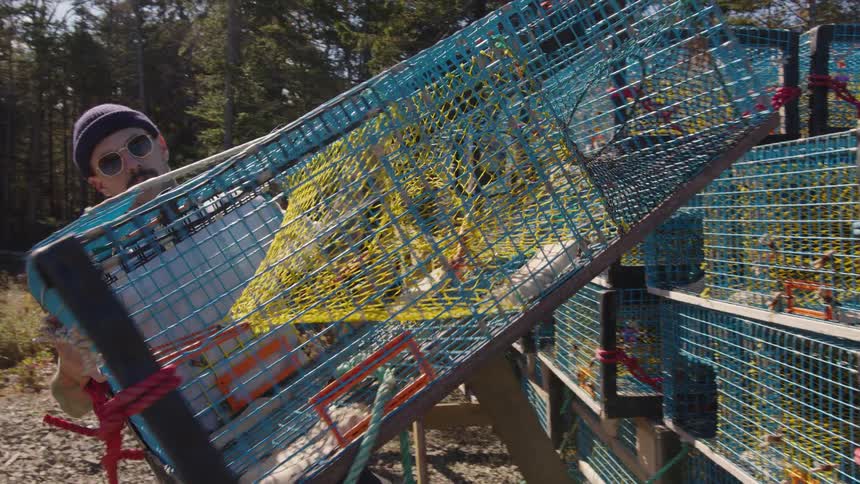 A man with a mustache wearing a blue cap and sunglasses is seen from a low angle as he sets a blue wire lobster trap down onto a stack of other traps in a sunny wooded area