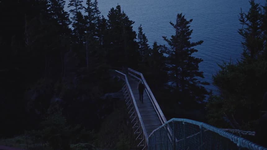 A person walks on a pedestrian bridge at dusk surrounded by trees with a nearby lake