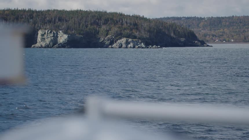 A large coastal area