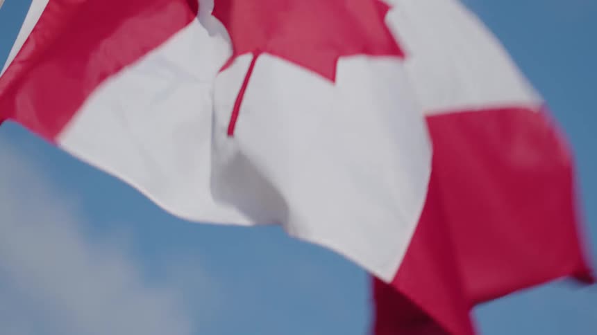 The canadian flag blows in the wind