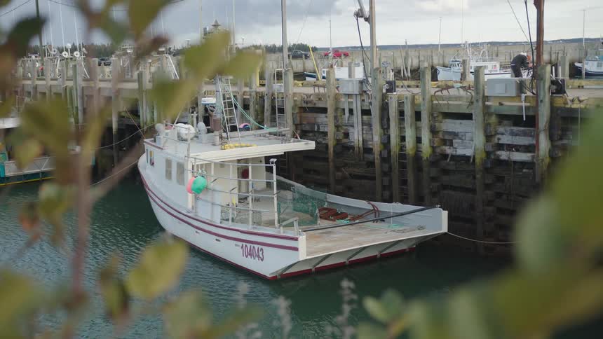 A boat docked at the pier