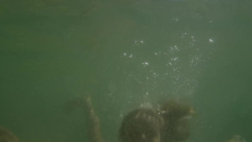 A person wearing a dark top rises through green water creating bubbles and turbulence with the persons face and shoulders looking upwards toward the surface