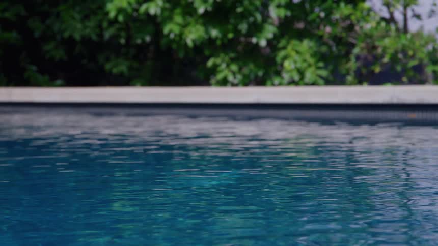 The shimmering blue water of a swimming pool fills the lower half of the frame with a gray concrete edge running horizontally and dense green foliage forming the background under a bright sun