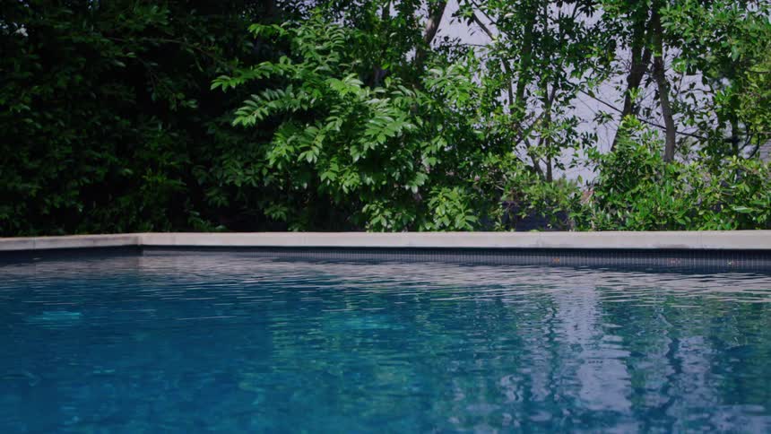 A pool walled by foliage