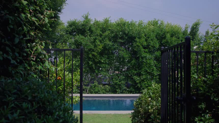 A pool surrounded by foliage